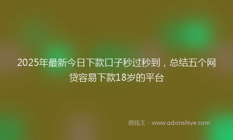 2025年最新今日下款口子秒过秒到，总结五个网贷容易下款18岁的平台