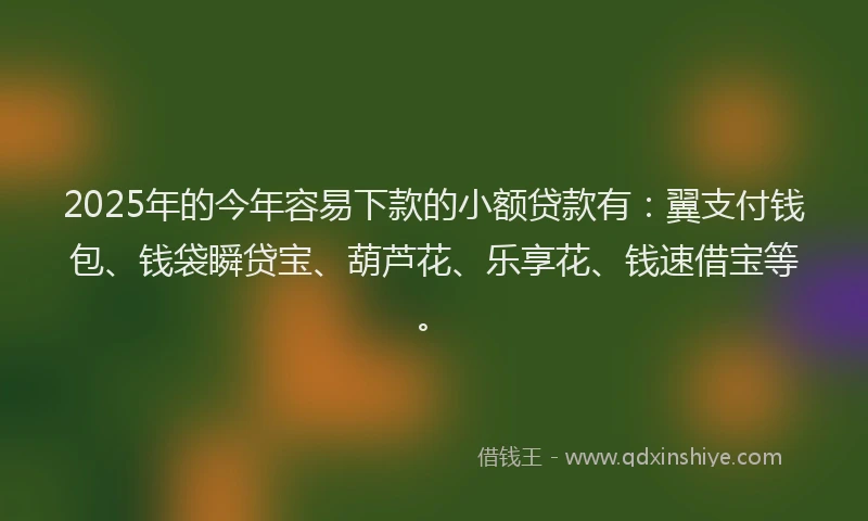 2025年的今年容易下款的小额贷款有：翼支付钱包、钱袋瞬贷宝、葫芦花、乐享花、钱速借宝等。