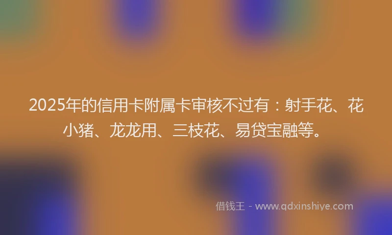 2025年的信用卡附属卡审核不过有：射手花、花小猪、龙龙用、三枝花、易贷宝融等。