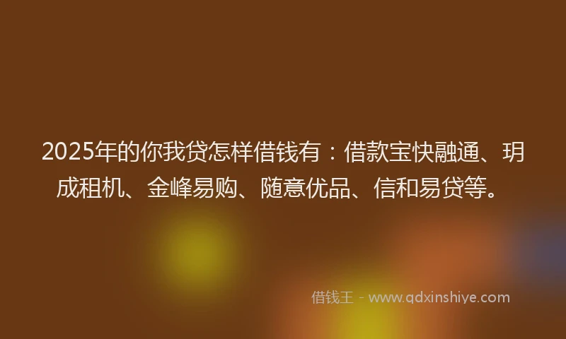 2025年的你我贷怎样借钱有：借款宝快融通、玥成租机、金峰易购、随意优品、信和易贷等。