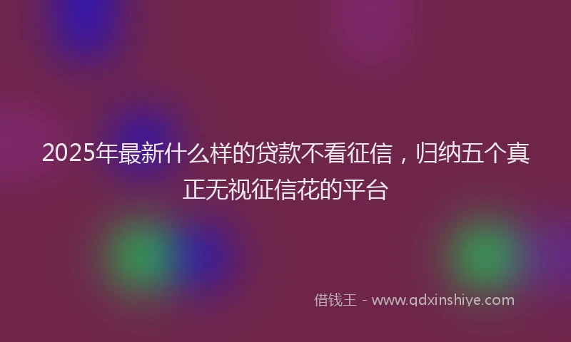 2025年最新什么样的贷款不看征信，归纳五个真正无视征信花的平台
