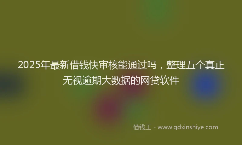 2025年最新借钱快审核能通过吗，整理五个真正无视逾期大数据的网贷软件