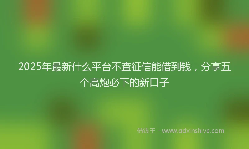 2025年最新什么平台不查征信能借到钱，分享五个高炮必下的新口子