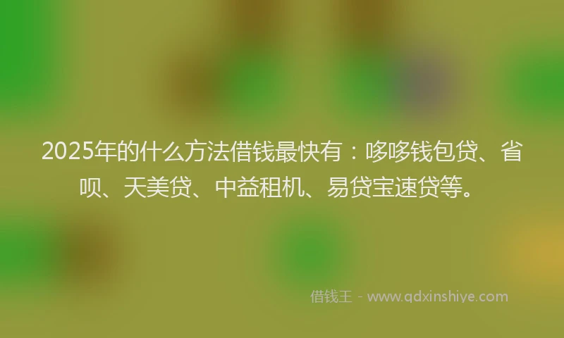 2025年的什么方法借钱最快有：哆哆钱包贷、省呗、天美贷、中益租机、易贷宝速贷等。