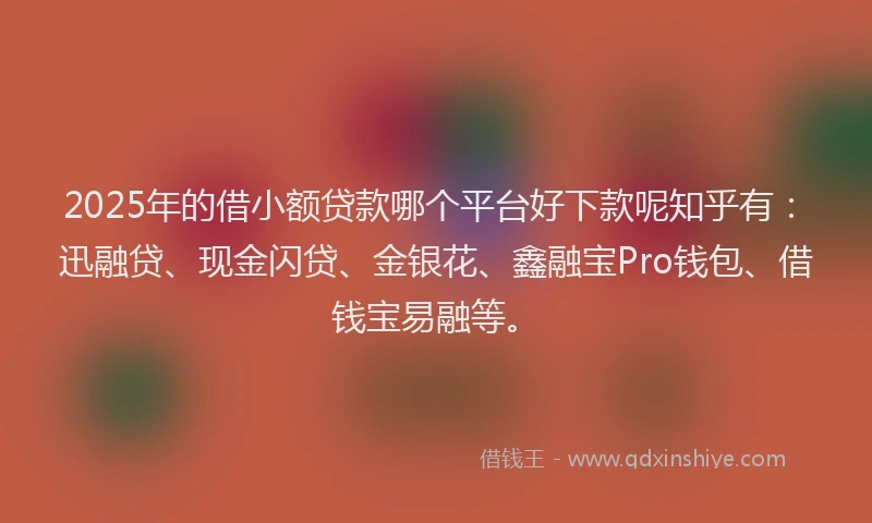2025年的借小额贷款哪个平台好下款呢知乎有：迅融贷、现金闪贷、金银花、鑫融宝Pro钱包、借钱宝易融等。