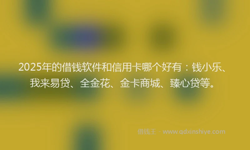 2025年的借钱软件和信用卡哪个好有：钱小乐、我来易贷、全金花、金卡商城、臻心贷等。