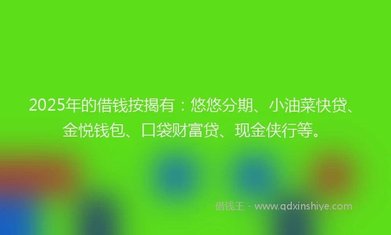 2025年的借钱按揭有：悠悠分期、小油菜快贷、金悦钱包、口袋财富贷、现金侠行等。