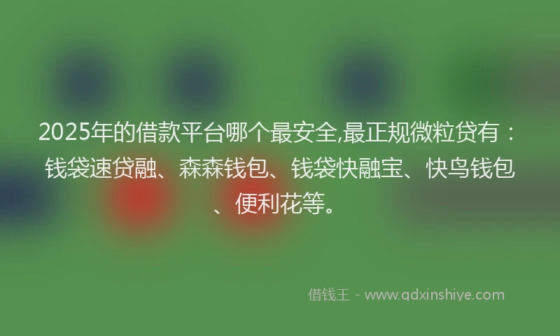 2025年的借款平台哪个最安全,最正规微粒贷有：钱袋速贷融、森森钱包、钱袋快融宝、快鸟钱包、便利花等。
