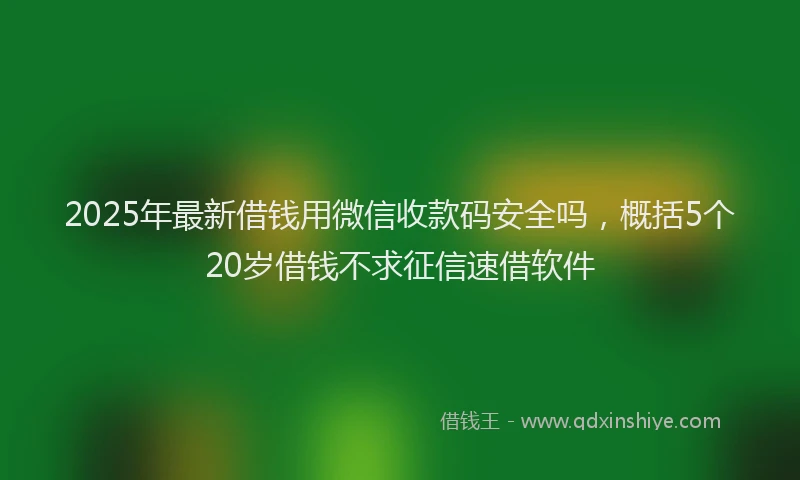 2025年最新借钱用微信收款码安全吗，概括5个20岁借钱不求征信速借软件