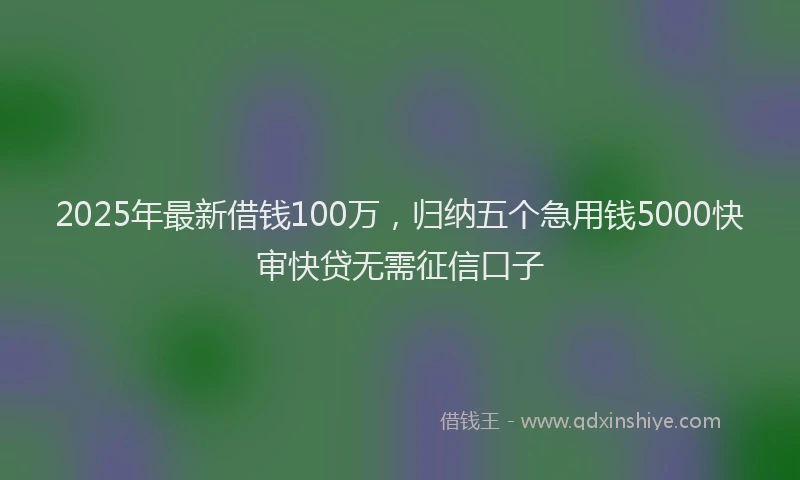 2025年最新借钱100万，归纳五个急用钱5000快审快贷无需征信口子