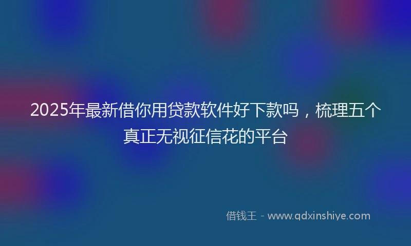 2025年最新借你用贷款软件好下款吗，梳理五个真正无视征信花的平台