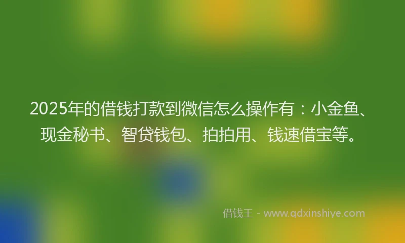 2025年的借钱打款到微信怎么操作有：小金鱼、现金秘书、智贷钱包、拍拍用、钱速借宝等。
