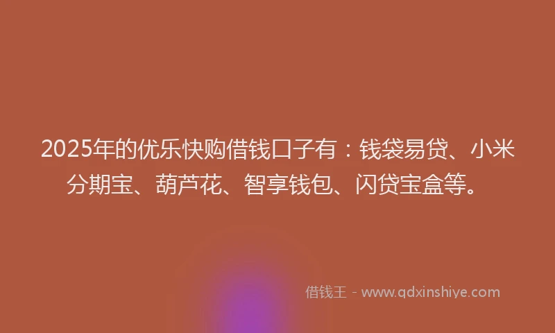2025年的优乐快购借钱口子有：钱袋易贷、小米分期宝、葫芦花、智享钱包、闪贷宝盒等。