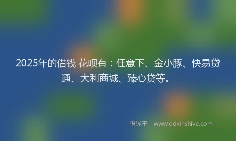 2025年的借钱 花呗有：任意下、金小豚、快易贷通、大利商城、臻心贷等。