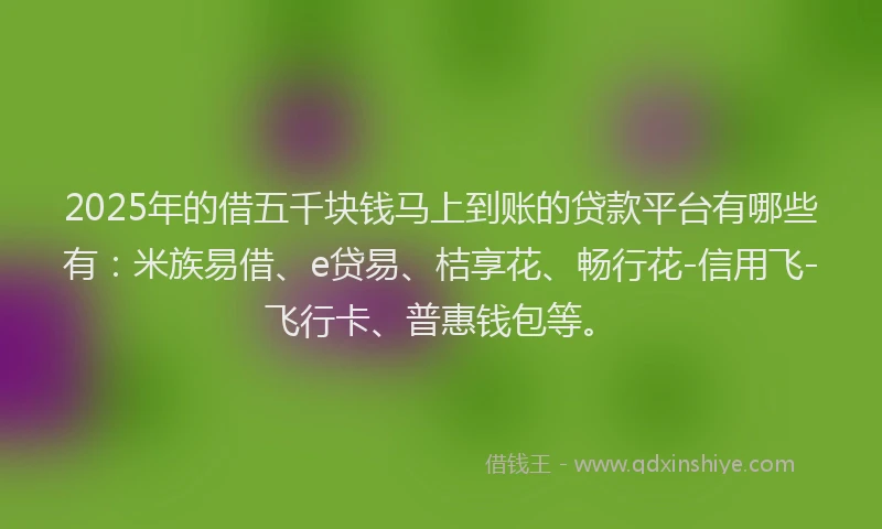2025年的借五千块钱马上到账的贷款平台有哪些有：米族易借、e贷易、桔享花、畅行花-信用飞-飞行卡、普惠钱包等。