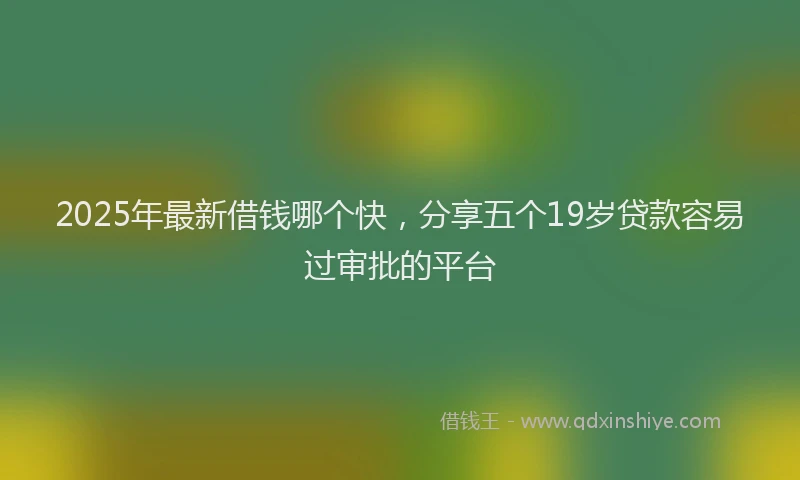 2025年最新借钱哪个快，分享五个19岁贷款容易过审批的平台