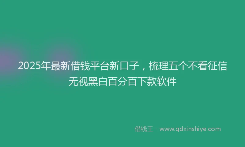 2025年最新借钱平台新口子，梳理五个不看征信无视黑白百分百下款软件