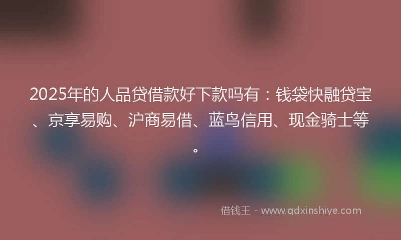 2025年的人品贷借款好下款吗有：钱袋快融贷宝、京享易购、沪商易借、蓝鸟信用、现金骑士等。