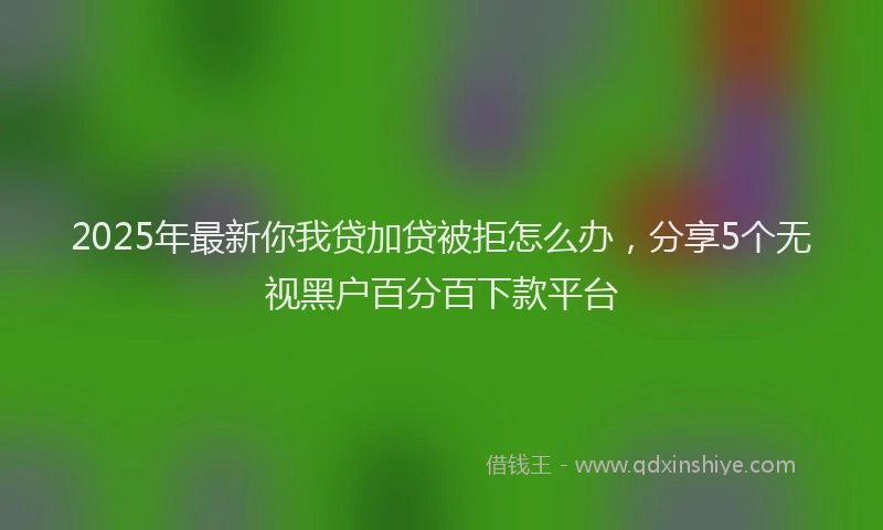 2025年最新你我贷加贷被拒怎么办，分享5个无视黑户百分百下款平台