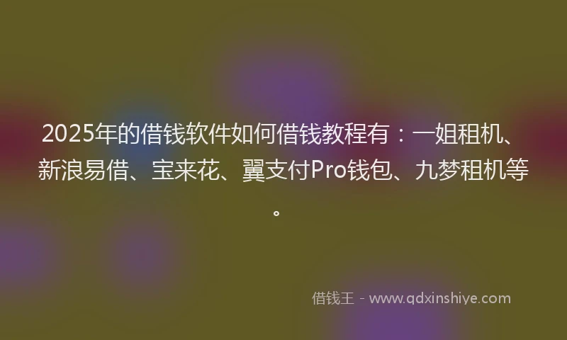 2025年的借钱软件如何借钱教程有：一姐租机、新浪易借、宝来花、翼支付Pro钱包、九梦租机等。
