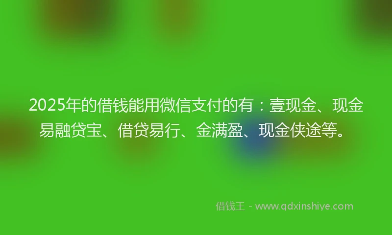 2025年的借钱能用微信支付的有：壹现金、现金易融贷宝、借贷易行、金满盈、现金侠途等。