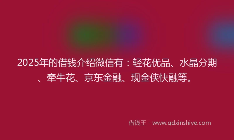 2025年的借钱介绍微信有：轻花优品、水晶分期、牵牛花、京东金融、现金侠快融等。