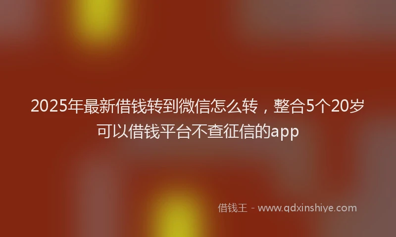 2025年最新借钱转到微信怎么转，整合5个20岁可以借钱平台不查征信的app