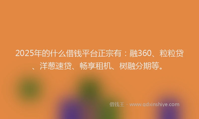 2025年的什么借钱平台正宗有：融360、粒粒贷、洋葱速贷、畅享租机、树融分期等。