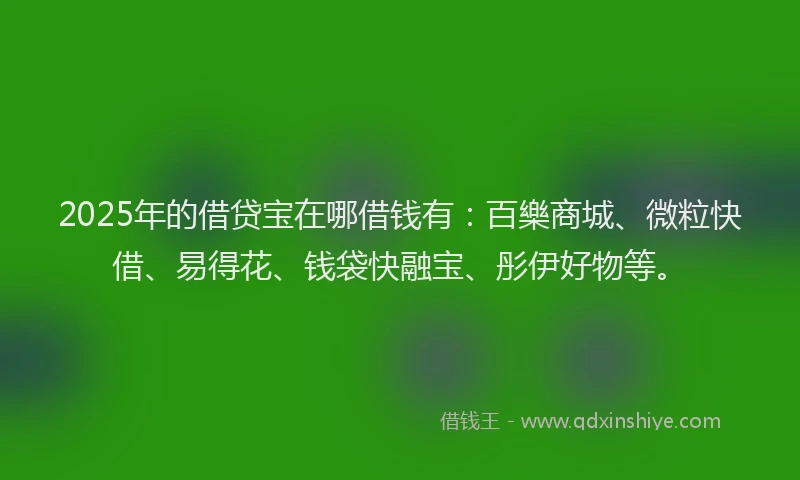 2025年的借贷宝在哪借钱有：百樂商城、微粒快借、易得花、钱袋快融宝、彤伊好物等。