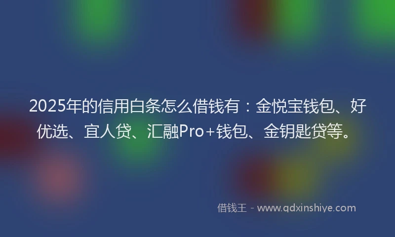 2025年的信用白条怎么借钱有：金悦宝钱包、好优选、宜人贷、汇融Pro+钱包、金钥匙贷等。