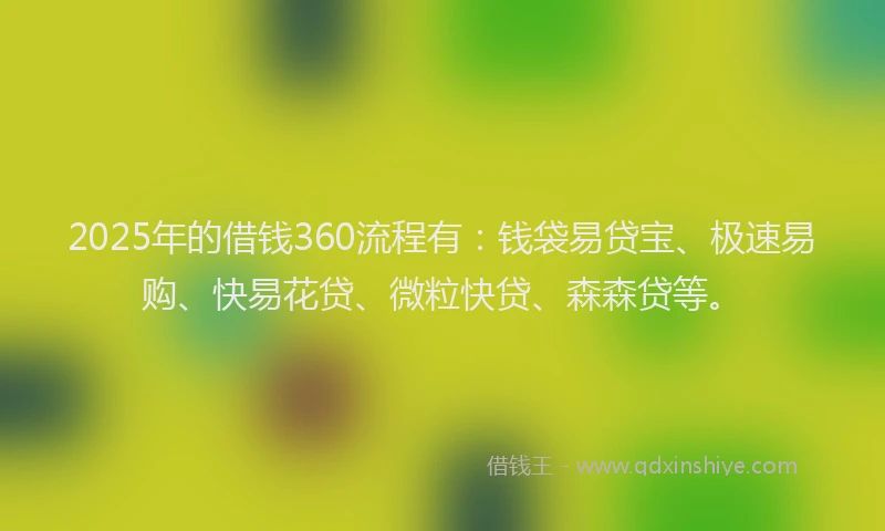 2025年的借钱360流程有：钱袋易贷宝、极速易购、快易花贷、微粒快贷、森森贷等。