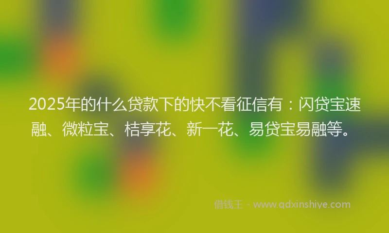 2025年的什么贷款下的快不看征信有：闪贷宝速融、微粒宝、桔享花、新一花、易贷宝易融等。
