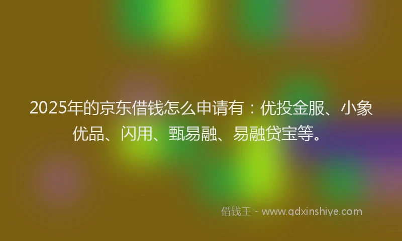 2025年的京东借钱怎么申请有：优投金服、小象优品、闪用、甄易融、易融贷宝等。