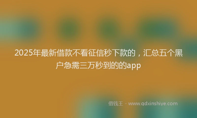 2025年最新借款不看征信秒下款的，汇总五个黑户急需三万秒到的的app