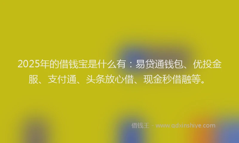 2025年的借钱宝是什么有：易贷通钱包、优投金服、支付通、头条放心借、现金秒借融等。