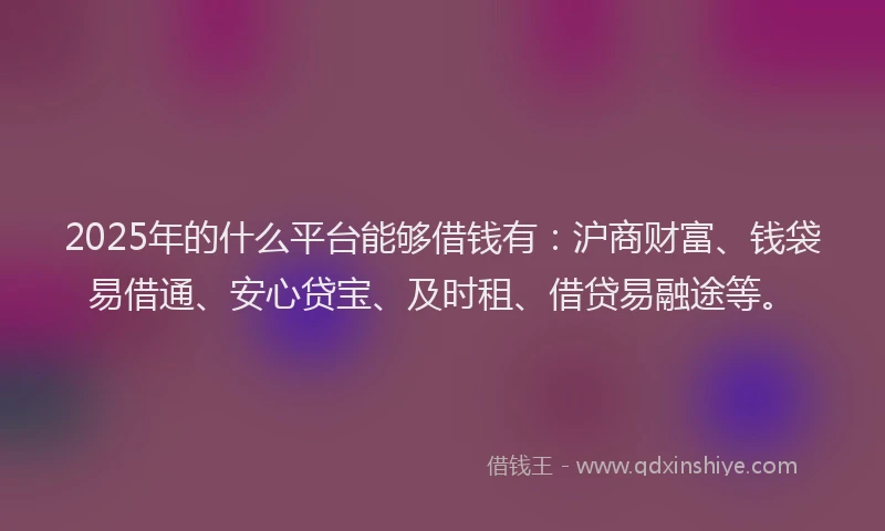 2025年的什么平台能够借钱有：沪商财富、钱袋易借通、安心贷宝、及时租、借贷易融途等。