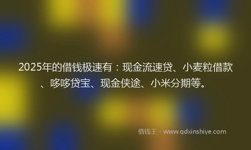 2025年的借钱极速有：现金流速贷、小麦粒借款、哆哆贷宝、现金侠途、小米分期等。