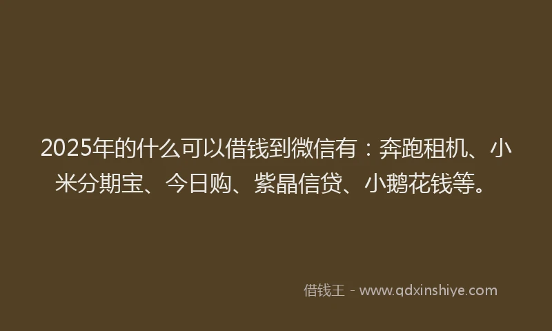 2025年的什么可以借钱到微信有：奔跑租机、小米分期宝、今日购、紫晶信贷、小鹅花钱等。
