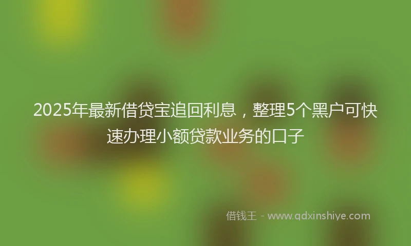 2025年最新借贷宝追回利息，整理5个黑户可快速办理小额贷款业务的口子