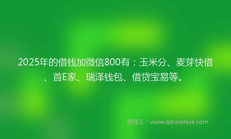 2025年的借钱加微信800有：玉米分、麦芽快借、首E家、瑞泽钱包、借贷宝易等。