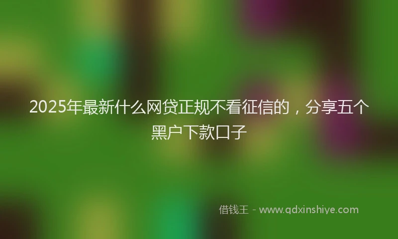 2025年最新什么网贷正规不看征信的，分享五个黑户下款口子