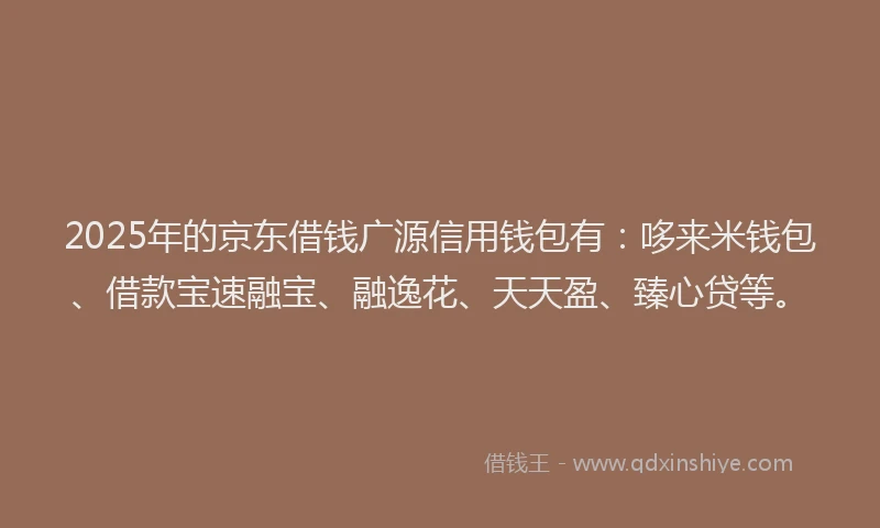 2025年的京东借钱广源信用钱包有：哆来米钱包、借款宝速融宝、融逸花、天天盈、臻心贷等。