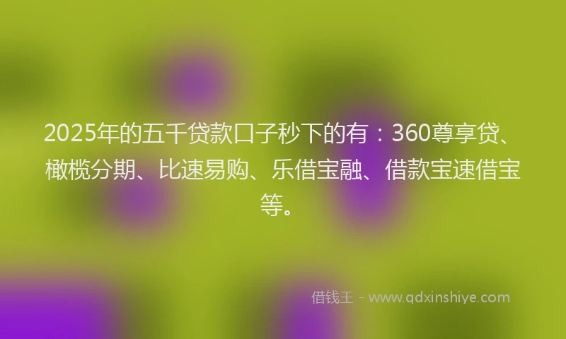 2025年的五千贷款口子秒下的有：360尊享贷、橄榄分期、比速易购、乐借宝融、借款宝速借宝等。