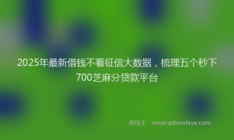 2025年最新借钱不看征信大数据，梳理五个秒下700芝麻分贷款平台