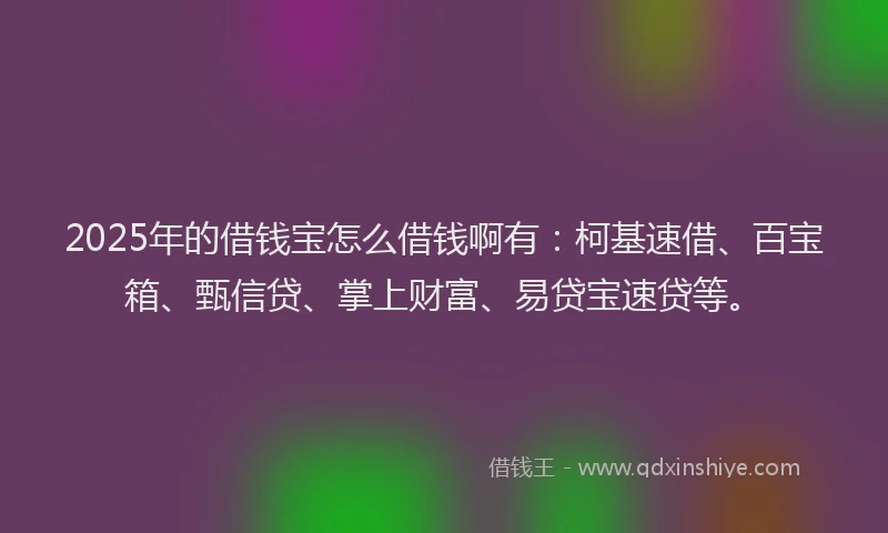 2025年的借钱宝怎么借钱啊有：柯基速借、百宝箱、甄信贷、掌上财富、易贷宝速贷等。