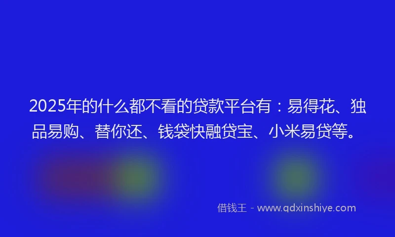 2025年的什么都不看的贷款平台有：易得花、独品易购、替你还、钱袋快融贷宝、小米易贷等。
