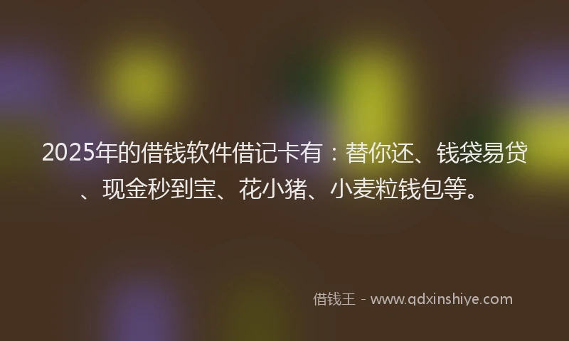 2025年的借钱软件借记卡有：替你还、钱袋易贷、现金秒到宝、花小猪、小麦粒钱包等。