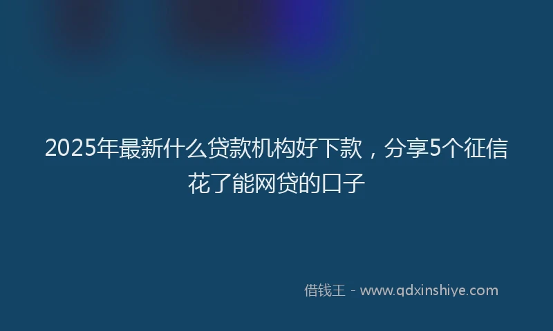 2025年最新什么贷款机构好下款，分享5个征信花了能网贷的口子