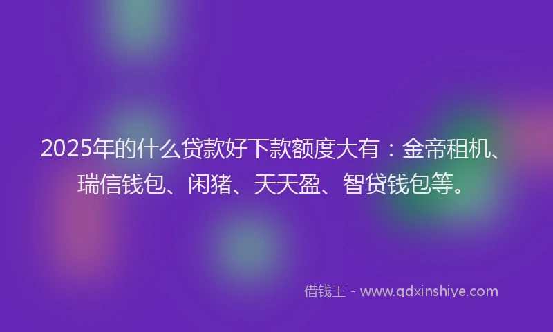 2025年的什么贷款好下款额度大有：金帝租机、瑞信钱包、闲猪、天天盈、智贷钱包等。