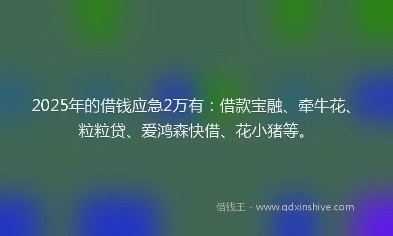 2025年的借钱应急2万有：借款宝融、牵牛花、粒粒贷、爱鸿森快借、花小猪等。
